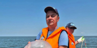 Тестирование противомедузных сетей началось в Азовском море - Приазовские степи