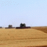 На полях Адамовского района наступает горячая пора! Стартовала уборочная страда. - Адамовский район