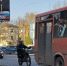 На Бору они очень нужны?! - Tvoy-Bor.Ru