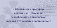 В Уфе вынесен приговор девушке за публичное оскорбление и применение насилия в отношении полицейского - Следственный комитет