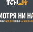 Пусть все наладится, несмотря ни на что: ТСН24 поможет предпринимателям, пострадавшим после атаки на ВБ - ИА Тульская служба новостей