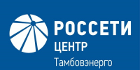Специалисты «Тамбовэнерго» готовятся к работе в период непогоды - Тамбовская жизнь