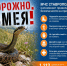 Осторожно, змея! МЧС Ставрополья напоминает правила безопасности на природе». - Администрация г. Ессентуки