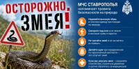 Осторожно, змея! МЧС Ставрополья напоминает правила безопасности на природе». - Администрация г. Ессентуки