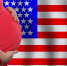 Юрист Инграм: Беременных туристок могут не пустить в США - Комсомольская Правда