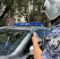 Алкоголь и агрессия: росгвардейцы усмирили дебоширов в астраханских клубах - Astrakhanpost.Ru