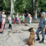 JPG Файл - УМВД Новгородской области