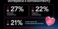 Котики против стресса: россияне отправляют видео с животными, чтобы поддержать близких и поднять настроение - Online47.Ru