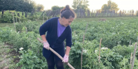 Соцработники Козловского КЦСОН помогают своим подопечным ухаживать за огородом. - Министерство труда и соцзащиты