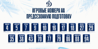 Игровые номера на предсезонную подготовку - МХК Динамо