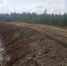 Фото со страницы ВК А. Гуляева - Газета Вельские вести