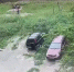Новгородская прокуратура добилась денег с хозяев напавшего на девочку стаффа - 53news.Ru