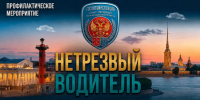 В Ленобласти проходит профилактический рейд «Нетрезвый водитель» - 47Channel.Ru