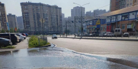 Метод посадки из зловонной лужи изобрели в воронежских маршрутках - Bloknot-Voronezh.Ru