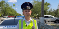 В Элисте водитель сбил двух пешеходов  - Интернет-газета Степные вести