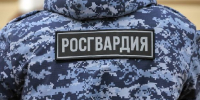 Трусы и даже бинокль: Росгвардейцы задержали магазинного вора в Кузбассе - РТВ-Подмосковье