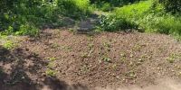 На нескольких улицах Курска восстановили грунт - Городские Известия