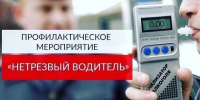 За руль только трезвым: профилактическая акция продлится до 10 августа - SyasNews.Ru