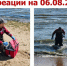В Ленобласти и Петербурге не появилось безопасных для купания пляжей - 47 новостей