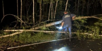 В Гусь-Хрустальном округе из-за непогоды на дорогу рухнули деревья - Progorod33.Ru