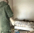 Жительницу Гусь-Хрустального во второй раз осудили за убийство - Progorod33.Ru