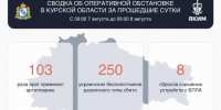Над Курской областью за сутки перехватили 250 дронов — Хинштейн - Курские Известия
