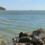 Погода в Таганроге 8 августа: слабый ветер, вредное солнце, днем +36°, вода в заливе прогреется до +27° - Газета Таганрогская правда