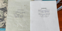 История одного предмета: школьный дневник - Библиотеки Миасса