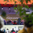 От "Кино" до Римского‑Корсакова. Чем запомнился первый вечер "Музыкального пикника" - ИА Омск здесь