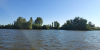 20260807_174409 - Сетевое издание Арбуз