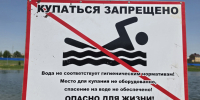 Купаться больше негде - Tvoy-Bor.Ru