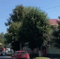 В Ярославской области в аварии погибли трое - Городской телеканал