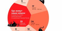 8 августо — Всемирный день кошек - Газета Приозерские ведомости