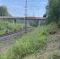 В Карелии появится новая станция «городской электрички» - Gubdaily.Ru