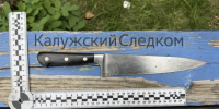 В Калуге задержали мужчину, который пытался убить сестру и соседку - NgRegion.Ru