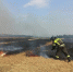 В Орловской области снова зафиксированы поджоги стерни - OrelGrad.Ru
