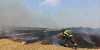 В Орловской области снова зафиксированы поджоги стерни - OrelGrad.Ru