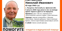 Уехавшего в лес и пропавшего брянца Николая Литвенка нашли живым - ИА Наш Брянск.ru
