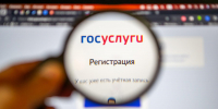 Мошенники создают поддельные сайты госуслуг - Spbdnevnik.ru