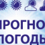 Оперативный ежедневный прогноз  на 09.08.2026г. - Асекеевский район