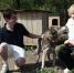 image-08-08-26-02-21-2 - Novosti-Saratova.Ru