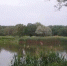 Прокуратура выявила самовольный захват прибрежной полосы в Тимашевском районе - Газета Краснодарские известия