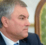 Володин рассказал о блокировке счетов для осужденных, уехавших из России - M24.Ru