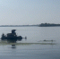 Мэрия отчиталась, что Волгу возле набережной почистили от мусора и водорослей - ИА Версия-Саратов
