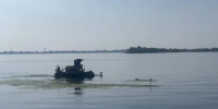 Мэрия отчиталась, что Волгу возле набережной почистили от мусора и водорослей - ИА Версия-Саратов