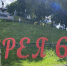 IMG_4204 - Историко-краеведческий музей