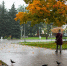 Фото: ПАИ - InformPskov.Ru