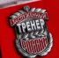 Севастопольских тренеров и спортсменов поздравили с профессиональным праздником></div>
	<div class= - Вести.Севастополь