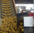 Погарская картофельная фабрика отгрузила продукции на 2,3 млрд рублей - БрянскToday.Ru