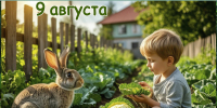 Наш календарь. 9 августа 2026 - Газета Ангарский рабочий